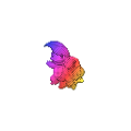 Rainbow Squirtleaf